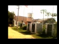 J P GREEN GARDEN Wmv