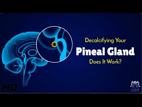 Decalcifying the Pineal Gland: Fact or Fiction?