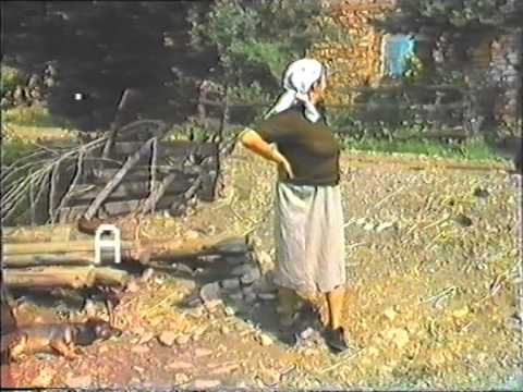 Годивје 1984 (1. дел)