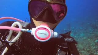 Download lagu ［小B‘s 潛水日誌］20201121 小琉球兩日放空潛水 mp3