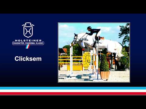 Die Verbandshengste 2020 - Clicksem v. Cardino-Littorio