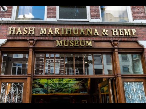 The Fascinating History of Hashish and the Art of Hash Making