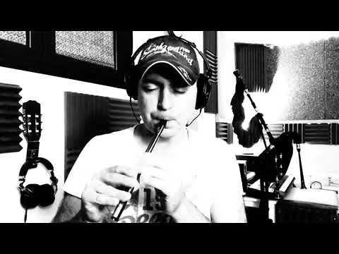 Anxo Lorenzo Playing Lír Eb Whistle 2