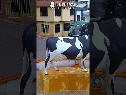 2 buses de la Cooperativa Cariamanga en Gonzanamá #automobile #loja #turismo