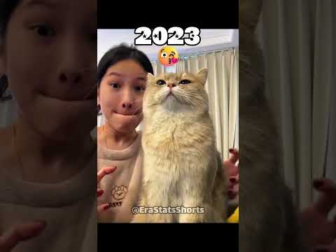 Pets Then vs Now: Stories That Will Break Your Heart 🥺💔