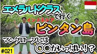 【Vlog】インドネシア ビンタン島①〜エメラルドクラスで行くビンタン島、マングローブツアー〜