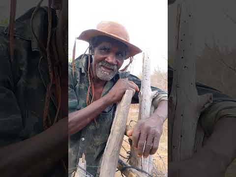conhecendo a realidade do povo da roça,virgem da Lapa mg#vdl#viral #roça