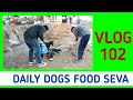 Daily Dogs Food Seva Vlog 102 Milk Bread Ki Seva Stray Dogs Feeding Dailyvlog
