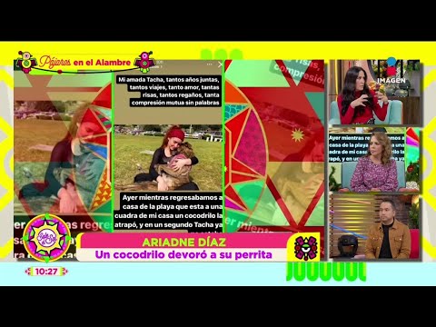 ¡Perrita de Ariadne Díaz es DEVORADA por un cocodrilo! | Sale el Sol