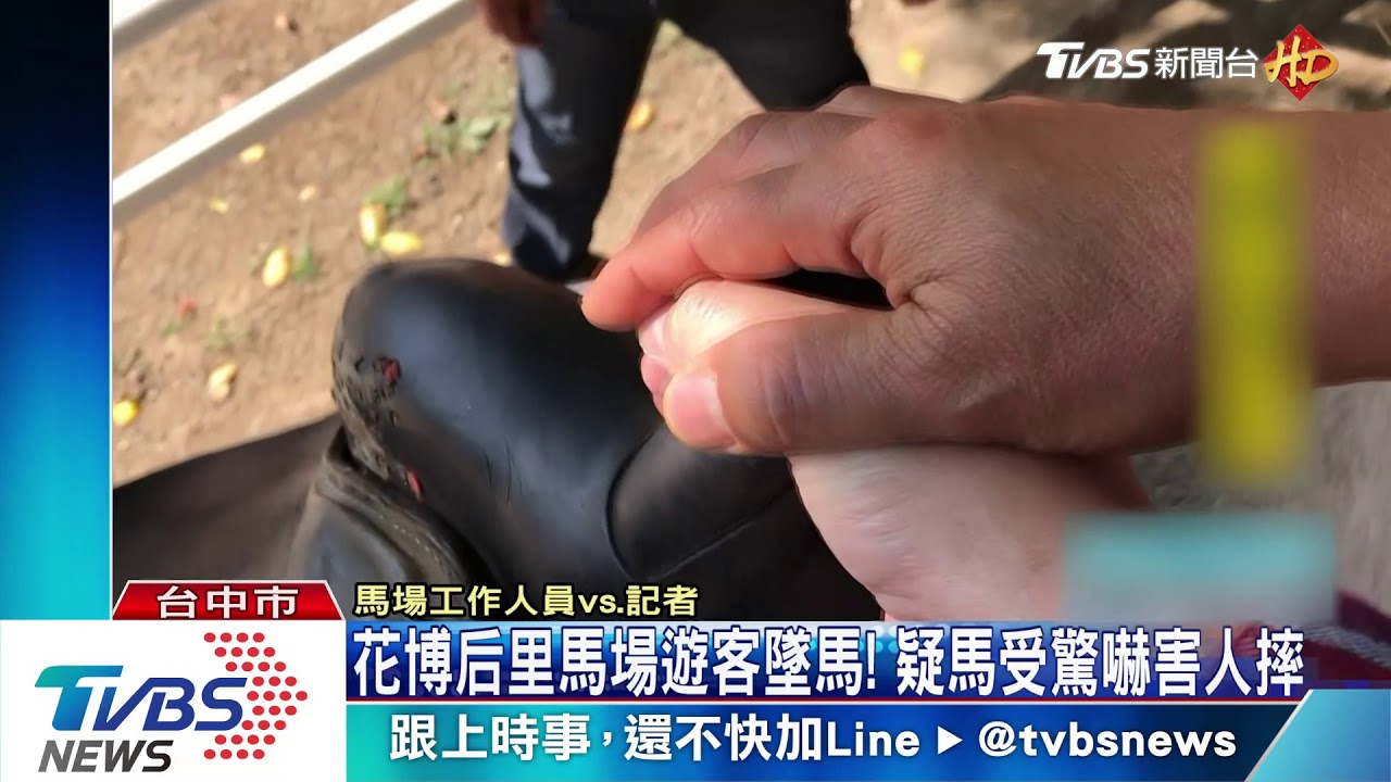 花博后里馬場遊客墜馬！　疑馬受驚嚇害人摔