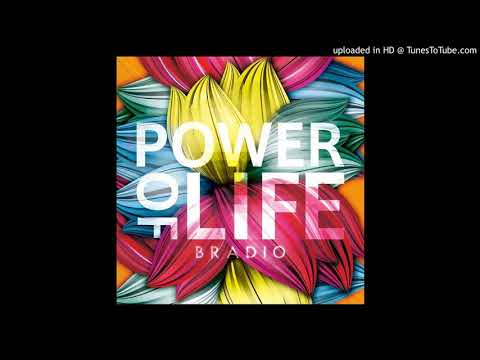 Chocolate Flavor - Bradio