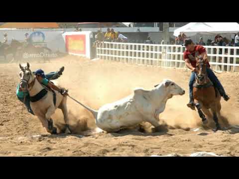 Espora do Meu Cavalo