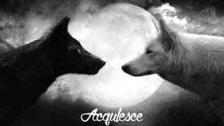 K.A.A.N - Tendencies Part 1 &amp; 2