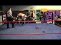 Beyond Wrestling Preview ACH Vs Jonny Mangue Crises Precipitate Change