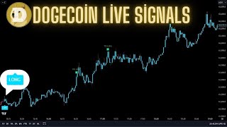 Live 24/7 Dogecoin 5-Minute Best Trading Signals (Section From Live Broadcast)