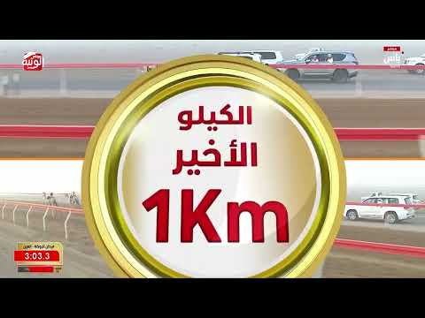 ش 3 (الذاير) لـ حمد علي بن حمد الوهيبي 4:37:53 ، مهرجان العين 2026/07/06 حقايق الروضة