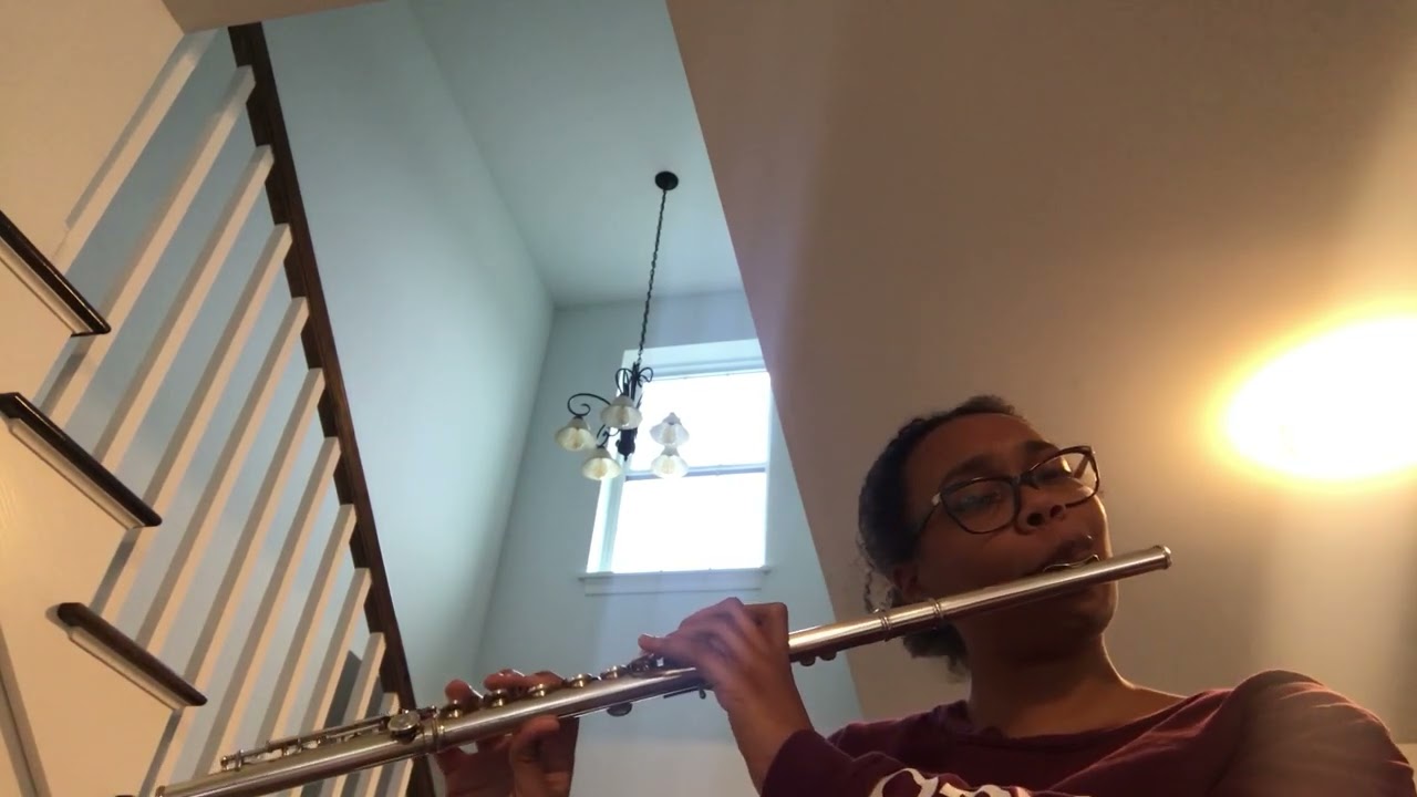 Promotional video thumbnail 1 for Soloist flute for weddings and events