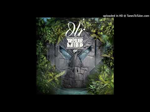 DLR & Mako ft. Rider Shafique - Seek Knowledge