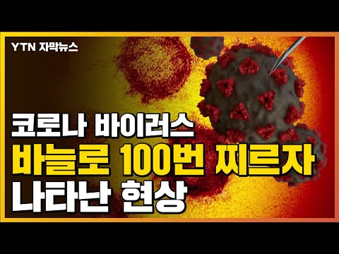 , title : '[자막뉴스] '코로나바이러스' 바늘로 100번 찌르자 나타난 현상 / YTN'