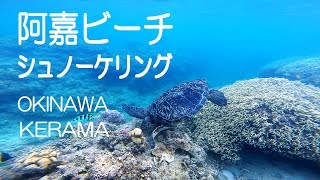 preview picture of video '阿嘉ビーチでウミガメとシュノーケリング2014年　沖縄ケラマ　GoPro HERO3'