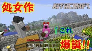 【マインクラフト】きたく処女作作成へ【#6】