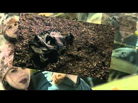 Bastille - Laura Palmer (Kat Krazy Remix) (Matt Nevin Video Edit)