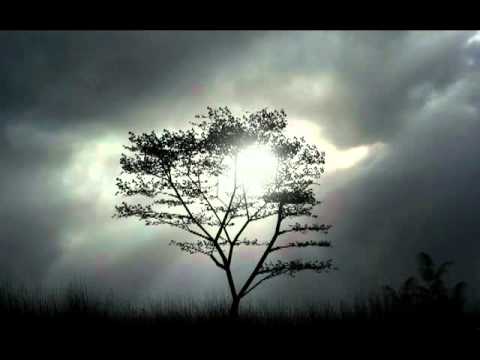 Sensoreal - Deep Emotion (Bollo Remix) [Open Bar Music]