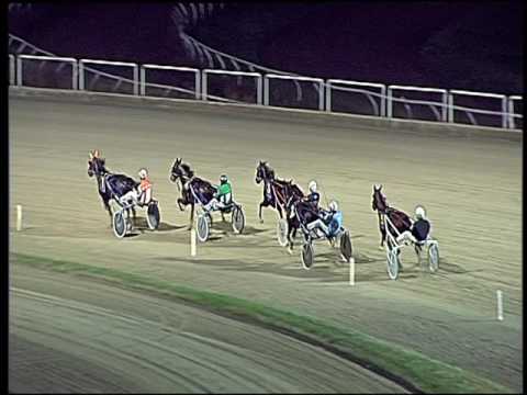 Trotto 06/11/2016 - 2ª prova di qualifica