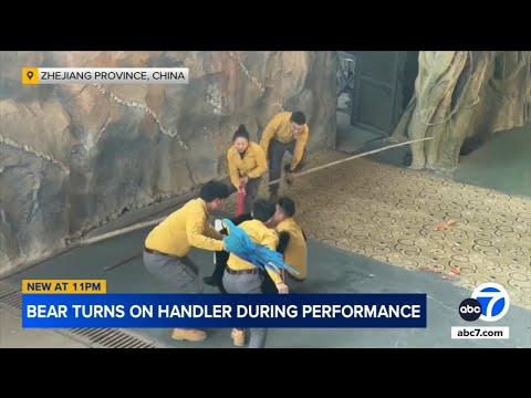 Bear attacks handler in harrowing incident caught on video at wildlife park in China