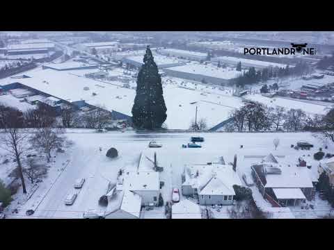 Portland Drone Snow Footage // 02-12-2021
