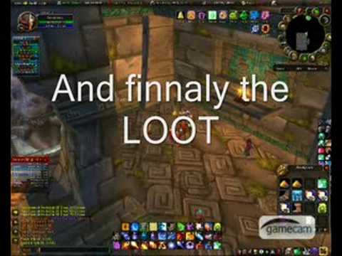 Strategic Forward and Amani War Bear