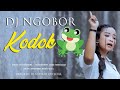 DJ NGOBOR KODOK Evi Shandra Remix By DJ Suhadi Official