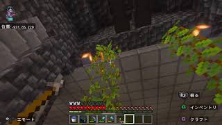 マイクラしますよー