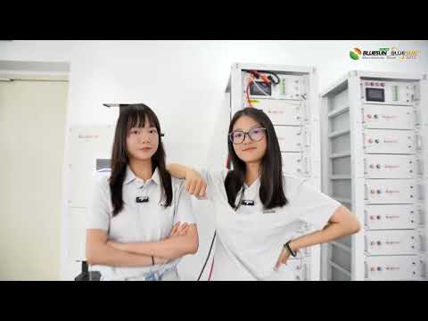 Introducing the Bluesun 50kW Commercial & Industrial Energy Storage System#solar #bluesun