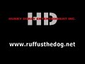 Radical Sheep Productions YTV Hunkey Dorey Entertainment Inc 1996 1999 2010