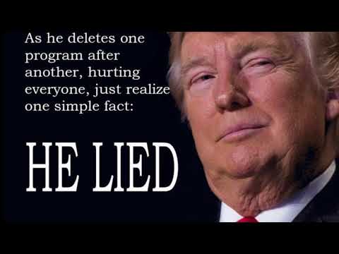 Donald Trump - Bodhi Jones