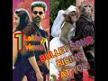 BULLET SONG MONKEY DANCE