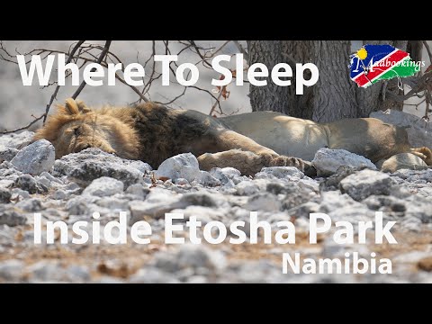The only 6 Places to stay inside Etosha National Park Namibia