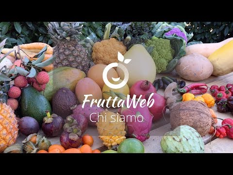 Recensioni di volpe argentata patogeno femminile È Kiwi influenzano la potenza