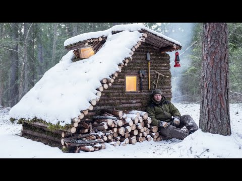 100 Days Solo Bushcraft, Survival & Building a Treehouse in the Rainforest