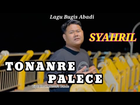 TONANRE PALECE - SYAHRIL || CIPT. ALM H.MUSTAFA BANDE ( LAGU BUGIS ABADI VIRAL )