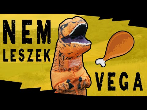 CAFFMANÓK - NEM LESZEK VEGA (Official Music Video)
