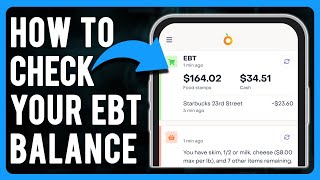 How to Check Your EBT Balance (Do I Have EBT Cash Benefits)