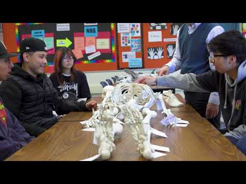 Daily High School Cte Gusd