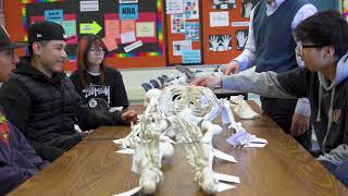 Daily High School CTE- GUSD