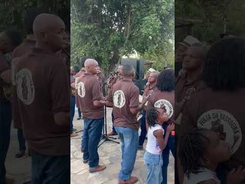Folia de nossa senhora da abadia município de peixe Tocantins 