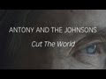 Antony and the Johnsons - Cut the World