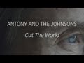 Antony and the Johnsons - Cut the World 