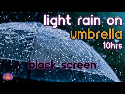 [Black Screen] Light Rain on Umbrella No Thunder | Rain Sounds for Sleeping