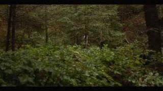 Midlake "It Covers the Hillsides"